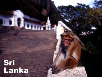Sri Lanka