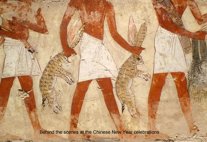 rabbits2